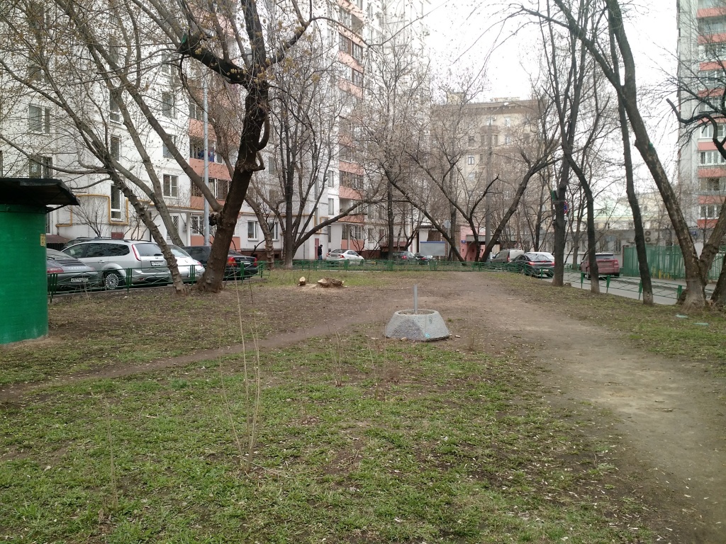 Фото: пресс-служба префектуры ЦАО
