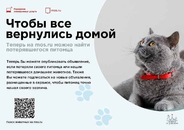 01010.jpg 01010.jpg