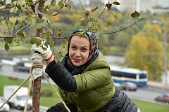 В Москве началось озеленение по программе «Моя улица»