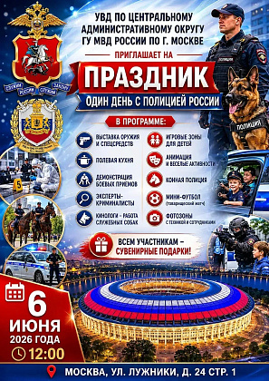Познакомьтесь с работой полиции на празднике в Лужниках