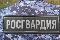 Итоги в цифрах